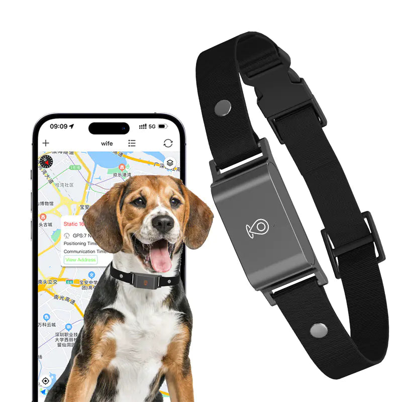 PetTracker GPS Collar – Real-Time Locator