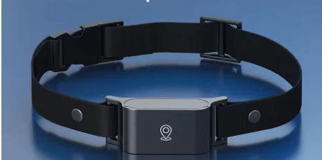 PetTracker GPS Collar – Real-Time Locator
