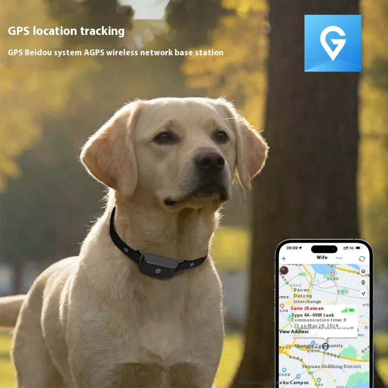 PetTracker GPS Collar – Real-Time Locator