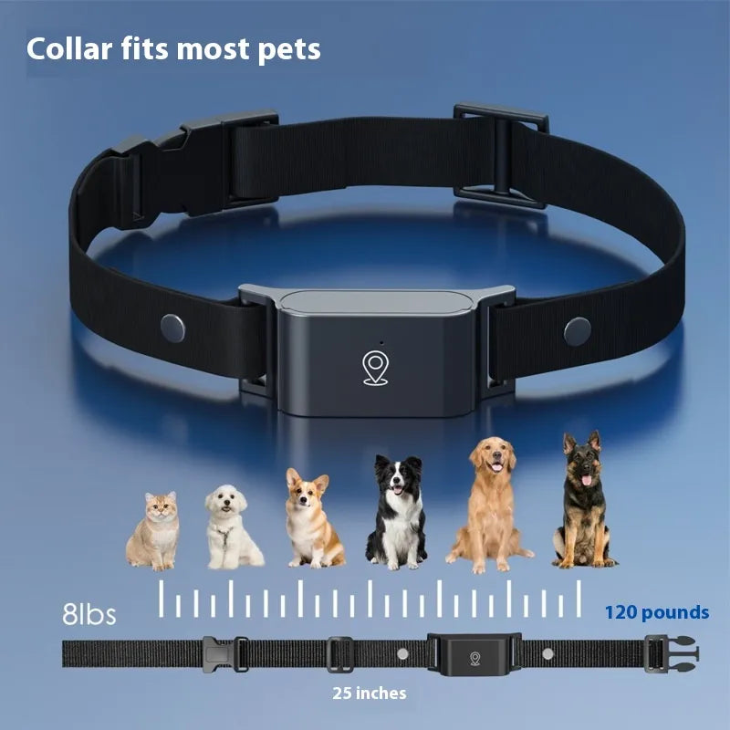 PetTracker GPS Collar – Real-Time Locator