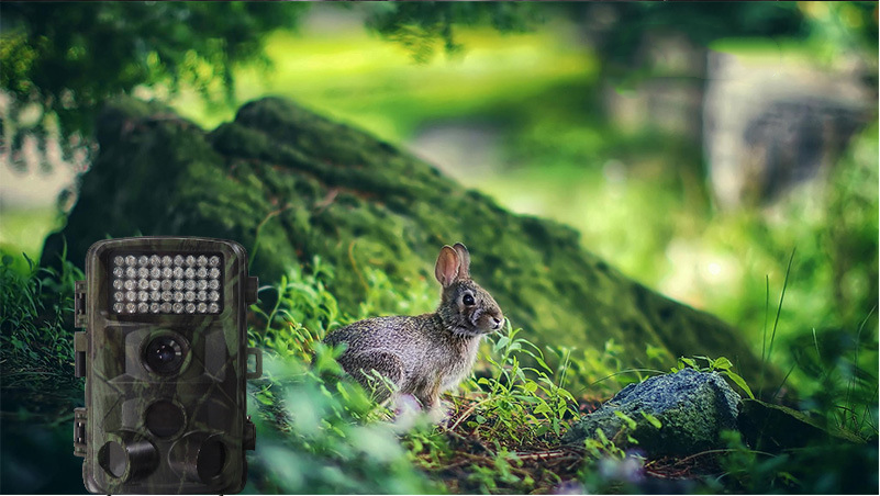Outdoor Camera for Hunting and Research Monitoring