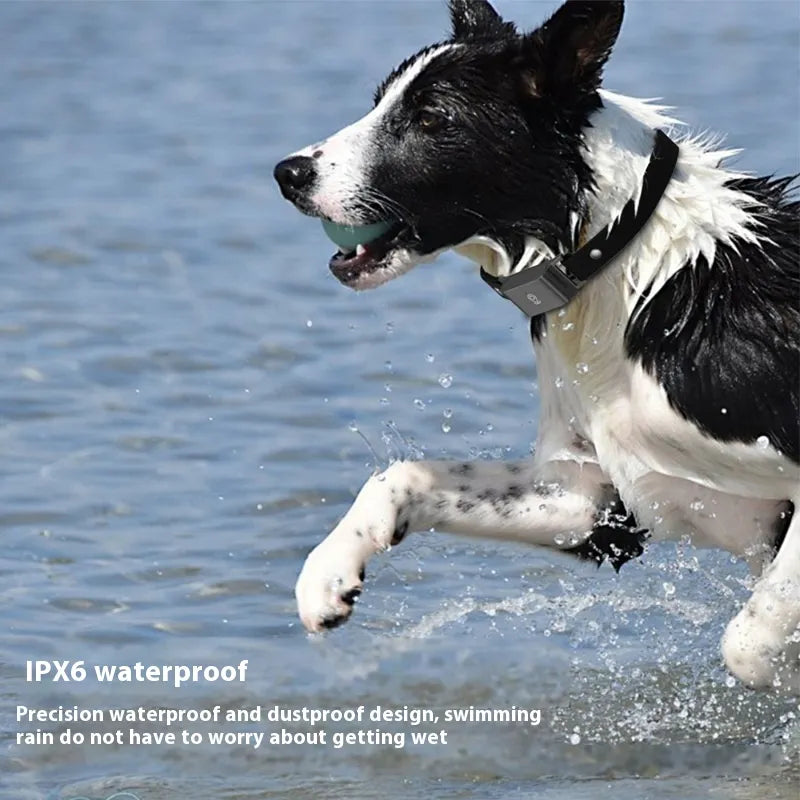 PetTracker GPS Collar – Real-Time Locator